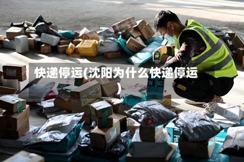 快递停运(沈阳为什么快递停运)-第2张图片