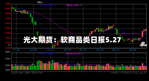 光大期货：软商品类日报5.27