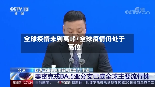 全球疫情未到高峰/全球疫情仍处于高位