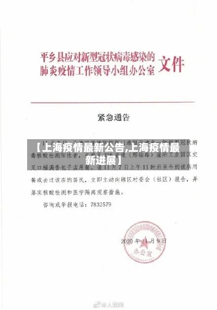 【上海疫情最新公告,上海疫情最新进展】-第3张图片