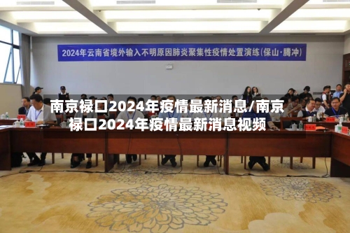 南京禄口2024年疫情最新消息/南京禄口2024年疫情最新消息视频-第2张图片
