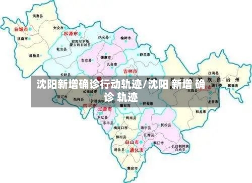 沈阳新增确诊行动轨迹/沈阳 新增 确诊 轨迹-第2张图片