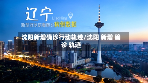沈阳新增确诊行动轨迹/沈阳 新增 确诊 轨迹-第3张图片