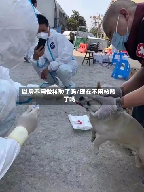 以后不用做核酸了吗/现在不用核酸了吗-第3张图片