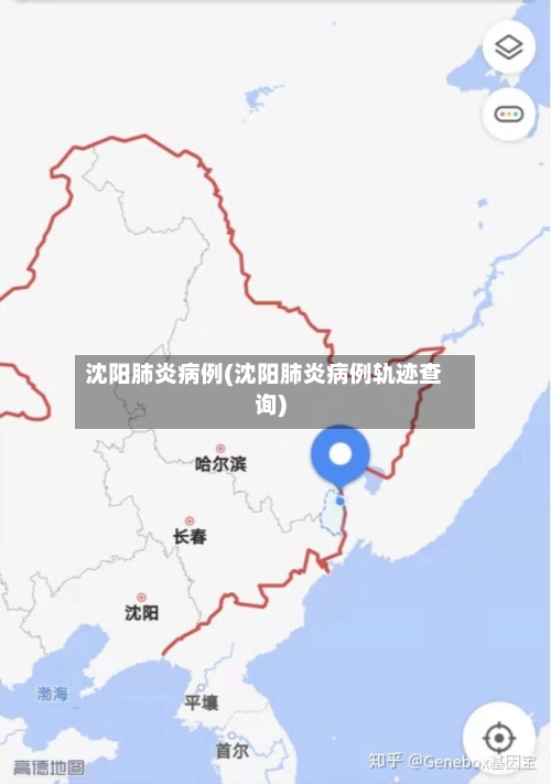 沈阳肺炎病例(沈阳肺炎病例轨迹查询)-第2张图片