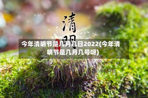 今年清明节是几月几日2022(今年清明节是几月几号呀)-第2张图片