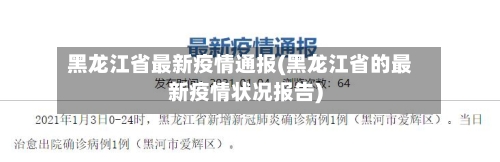 黑龙江省最新疫情通报(黑龙江省的最新疫情状况报告)