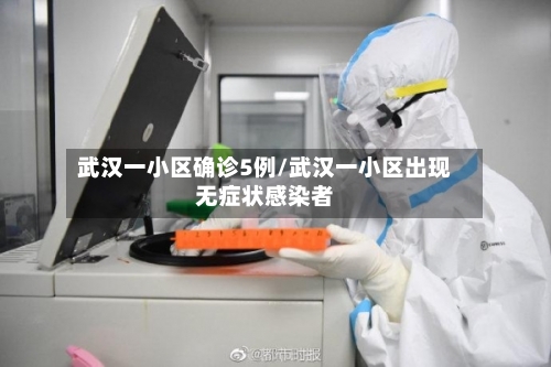 武汉一小区确诊5例/武汉一小区出现无症状感染者-第2张图片