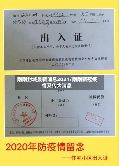 刚刚封城最新消息2021/刚刚新冠疫情又传大消息
