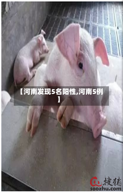 【河南发现5名阳性,河南5例】