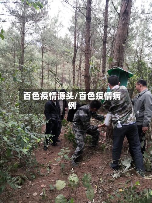 百色疫情源头/百色疫情病例
