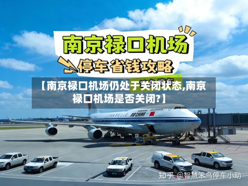 【南京禄口机场仍处于关闭状态,南京禄口机场是否关闭?】-第2张图片