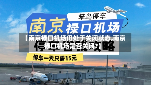 【南京禄口机场仍处于关闭状态,南京禄口机场是否关闭?】-第3张图片