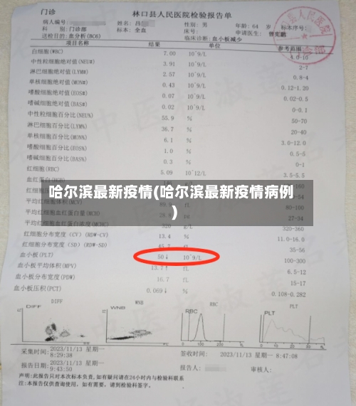 哈尔滨最新疫情(哈尔滨最新疫情病例)-第2张图片