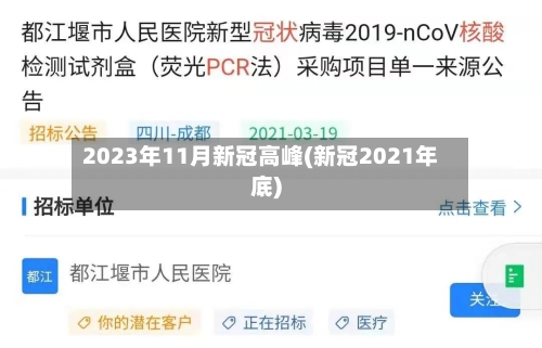 2023年11月新冠高峰(新冠2021年底)