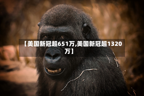 【美国新冠超651万,美国新冠超1320万】