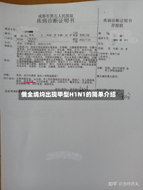 俄全境均出现甲型H1N1的简单介绍-第2张图片