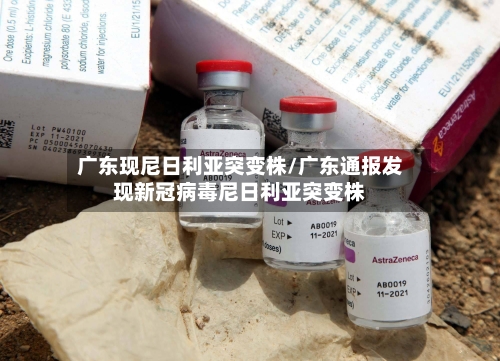 广东现尼日利亚突变株/广东通报发现新冠病毒尼日利亚突变株-第2张图片