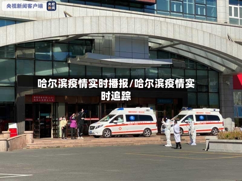 哈尔滨疫情实时播报/哈尔滨疫情实时追踪