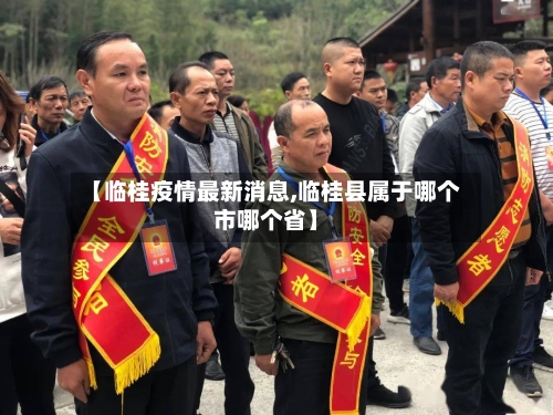 【临桂疫情最新消息,临桂县属于哪个市哪个省】-第2张图片