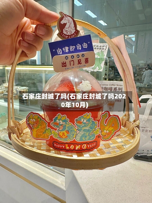 石家庄封城了吗(石家庄封城了吗2020年10月)-第2张图片