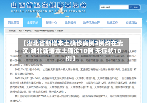 【湖北省新增本土确诊病例3例均在武汉,湖北新增本土确诊10例 无症状10例】-第3张图片