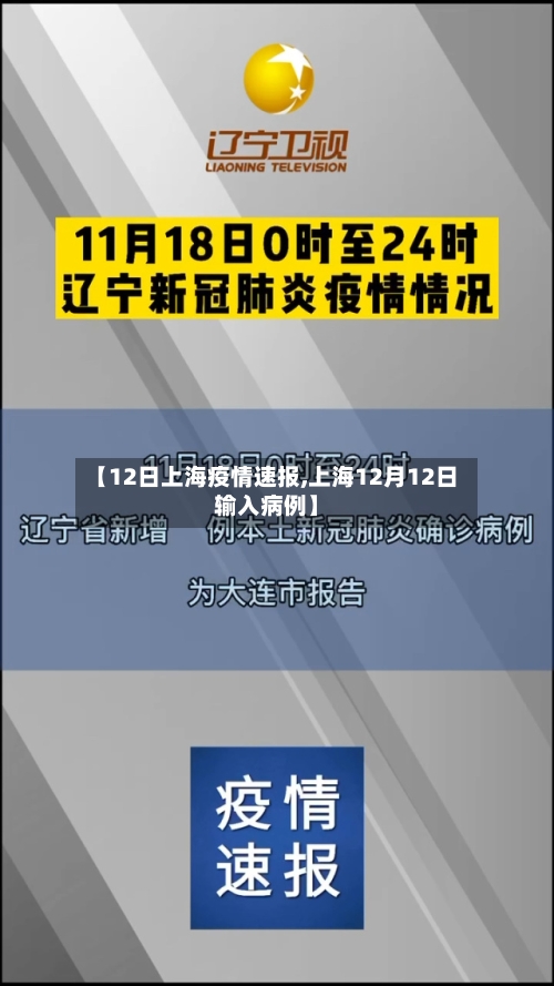 【12日上海疫情速报,上海12月12日输入病例】-第3张图片