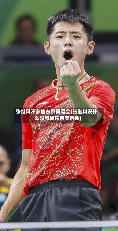 张继科不参加东京奥运会(张继科没什么没参加东京奥运会)