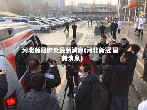 河北新冠肺炎最新消息(河北新冠 最新消息)