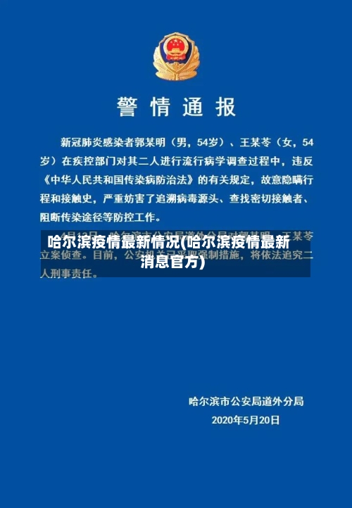 哈尔滨疫情最新情况(哈尔滨疫情最新消息官方)-第3张图片