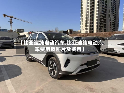 【比亚迪纯电动汽车,比亚迪纯电动汽车费用及图片及费用】-第2张图片