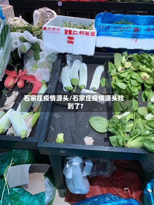 石家庄疫情源头/石家庄疫情源头找到了?-第3张图片