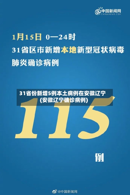 31省份新增5例本土病例在安徽辽宁(安徽辽宁确诊病例)