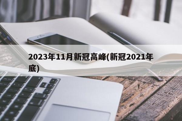 2023年11月新冠高峰(新冠2021年底)