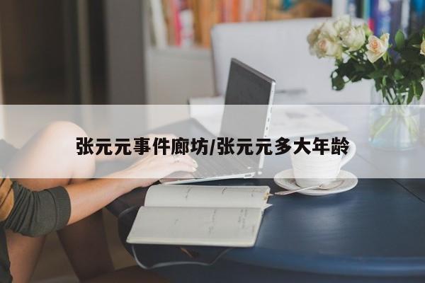 张元元事件廊坊/张元元多大年龄