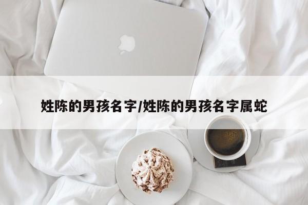 姓陈的男孩名字/姓陈的男孩名字属蛇